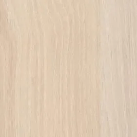 Image of acacia.webp